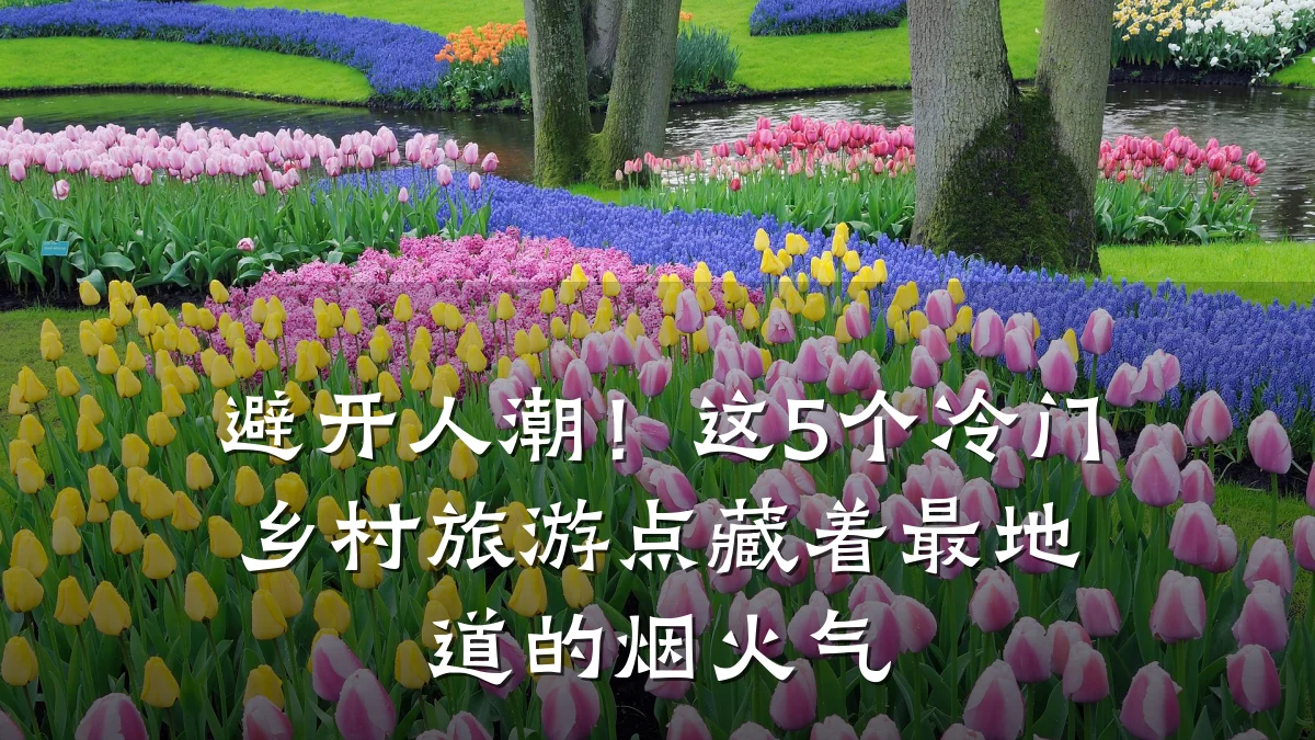 避开人潮！这5个冷门乡村旅游点藏着最地道的烟火气
