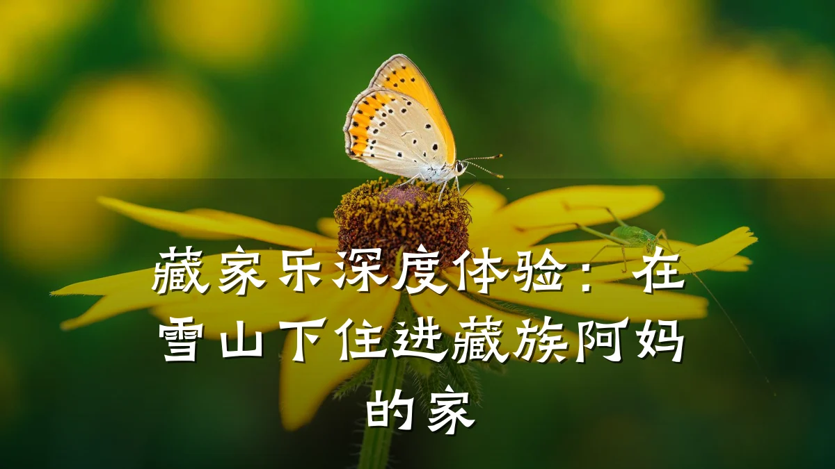 藏家乐深度体验:在雪山下住进藏族阿妈的家