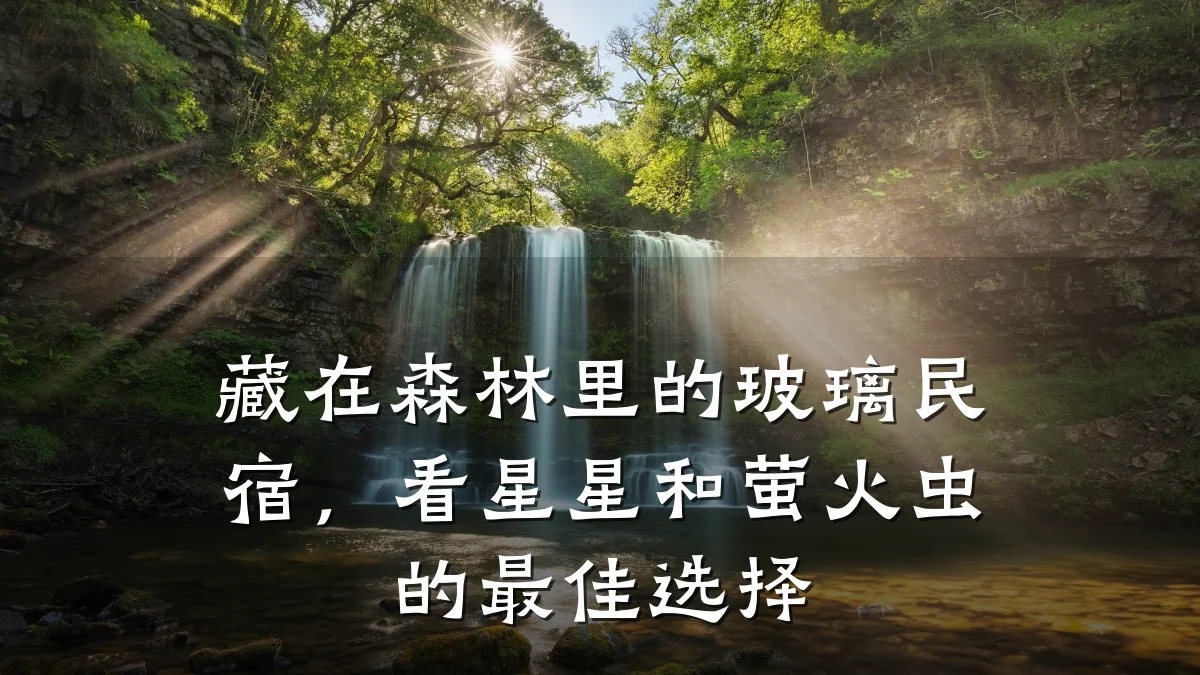 藏在森林里的玻璃民宿,看星星和萤火虫的最佳选择