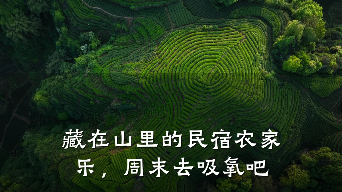 藏在山里的民宿农家乐,周末去吸氧吧