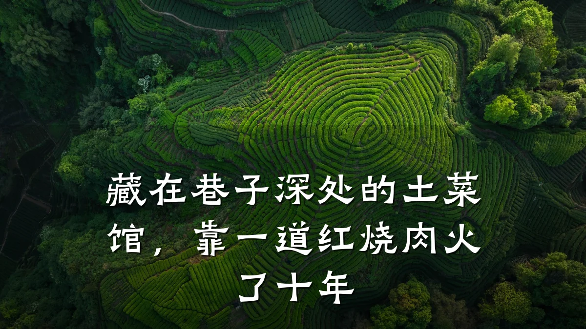 藏在巷子深处的土菜馆,靠一道红烧肉火了十年