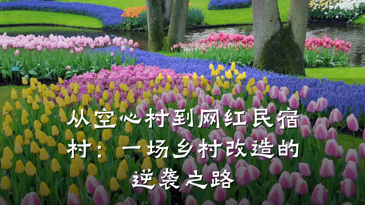 从空心村到网红民宿村:一场乡村改造的逆袭之路