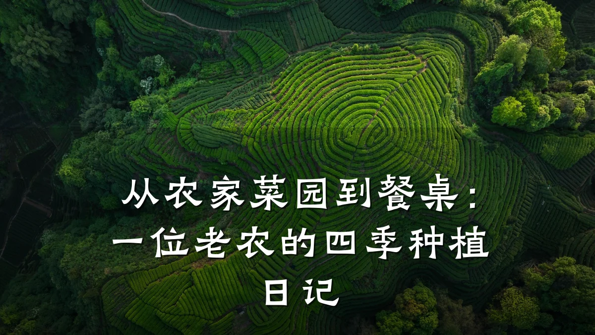 从农家菜园到餐桌:一位老农的四季种植日记
