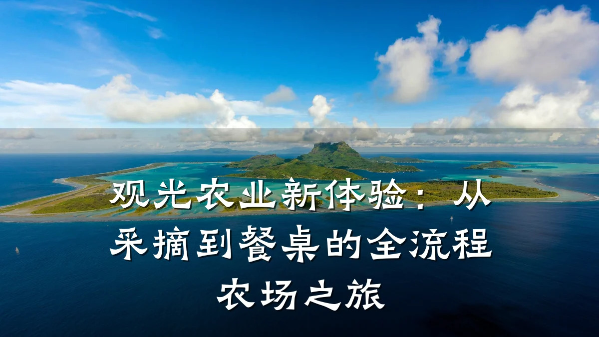 观光农业新体验:从采摘到餐桌的全流程农场之旅