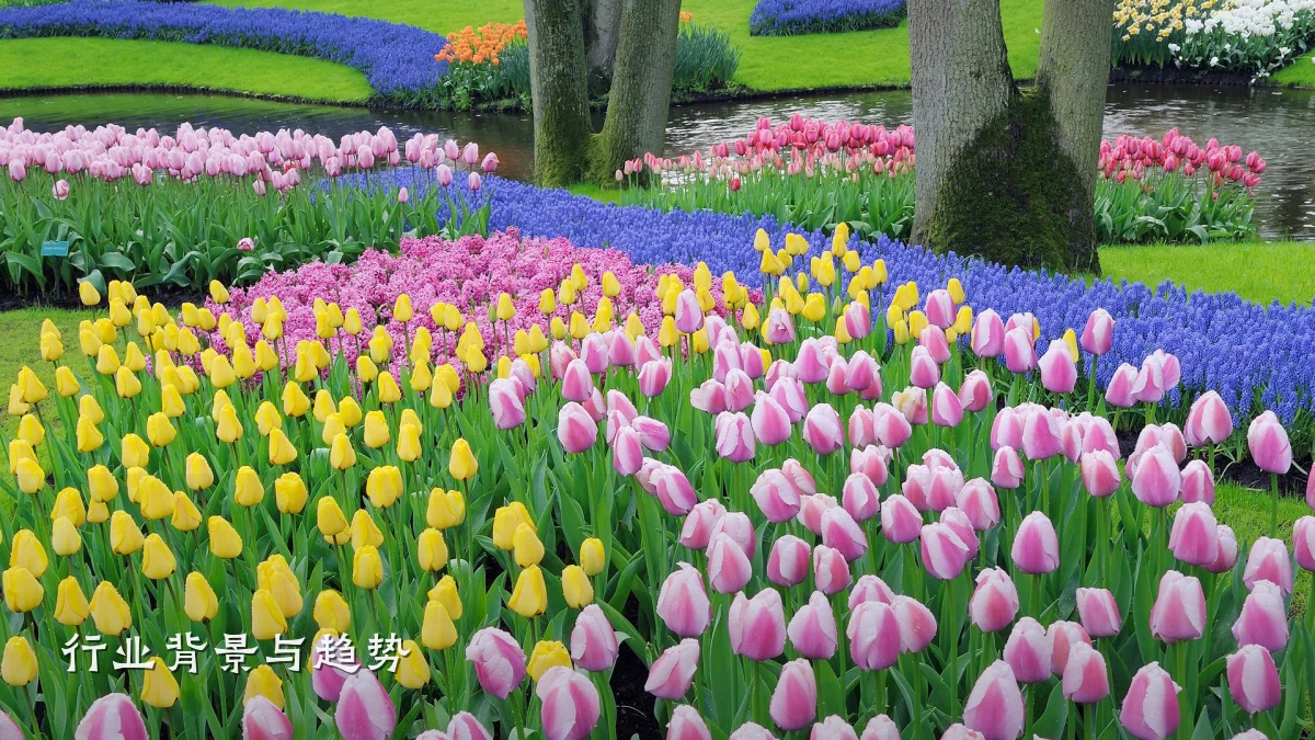 行业背景与趋势
