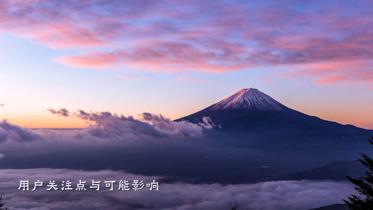 用户关注点与可能影响