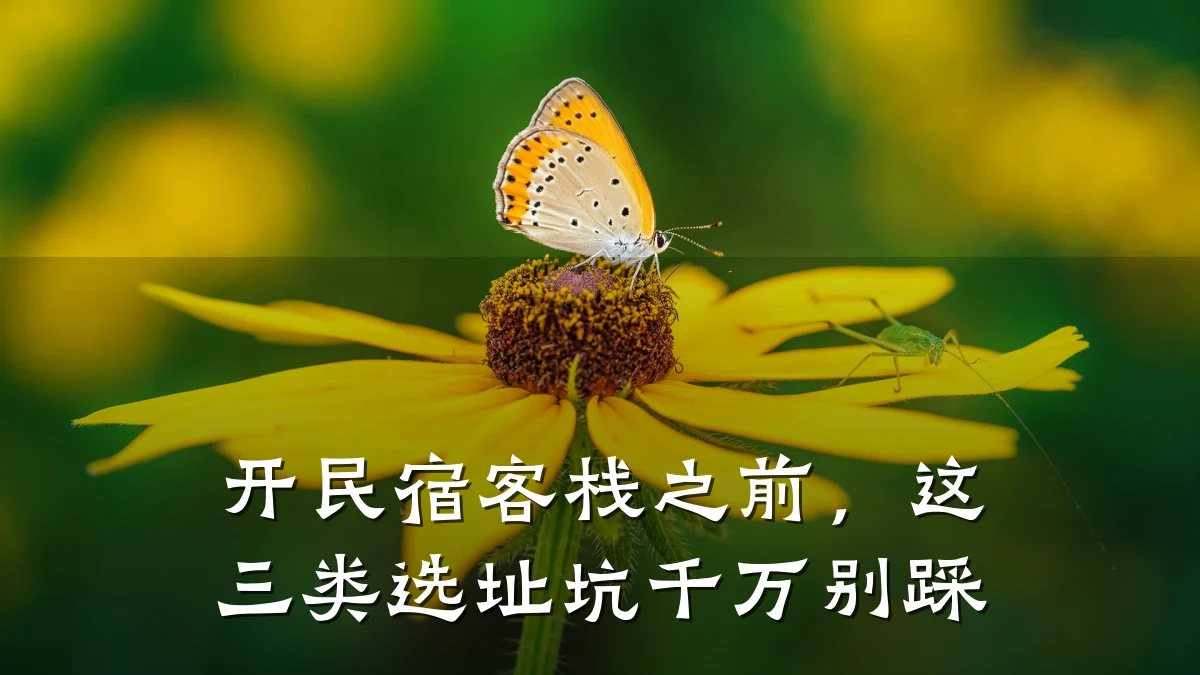 开民宿客栈之前,这三类选址坑千万别踩