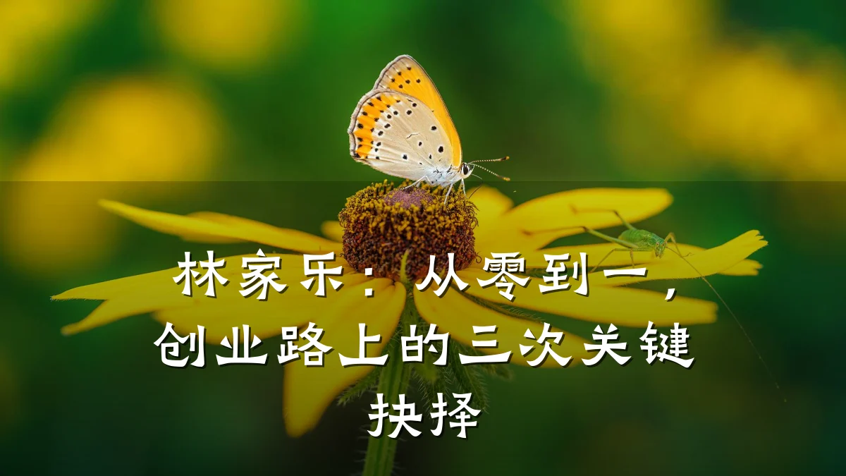 林家乐:从零到一,创业路上的三次关键抉择