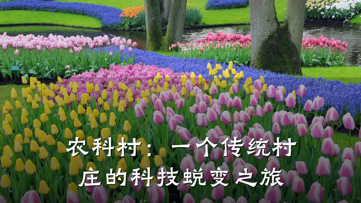 农科村:一个传统村庄的科技蜕变之旅