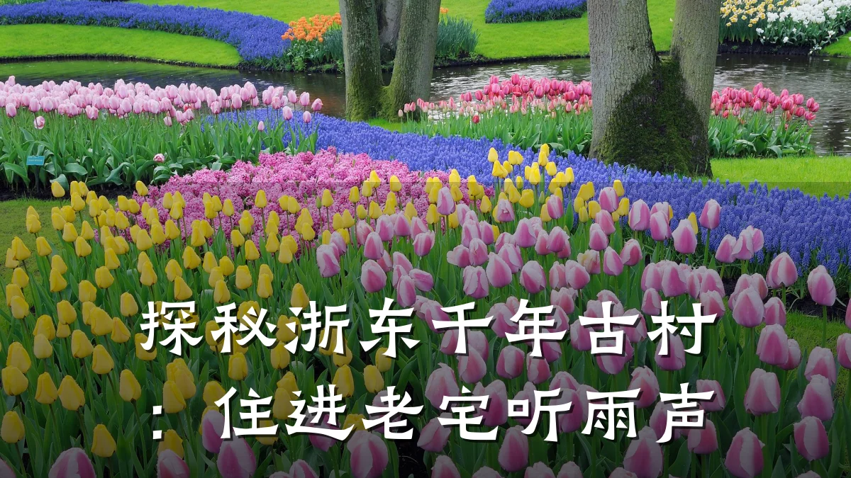 探秘浙东千年古村:住进老宅听雨声