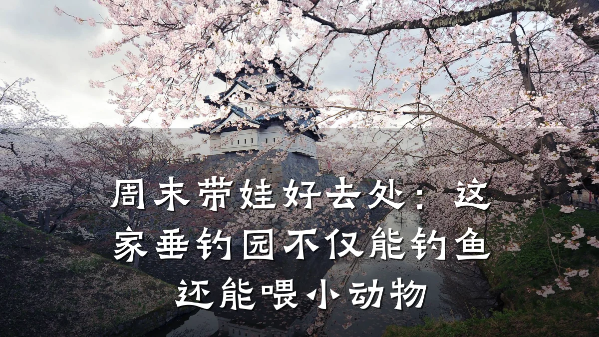 周末带娃好去处:这家垂钓园不仅能钓鱼还能喂小动物