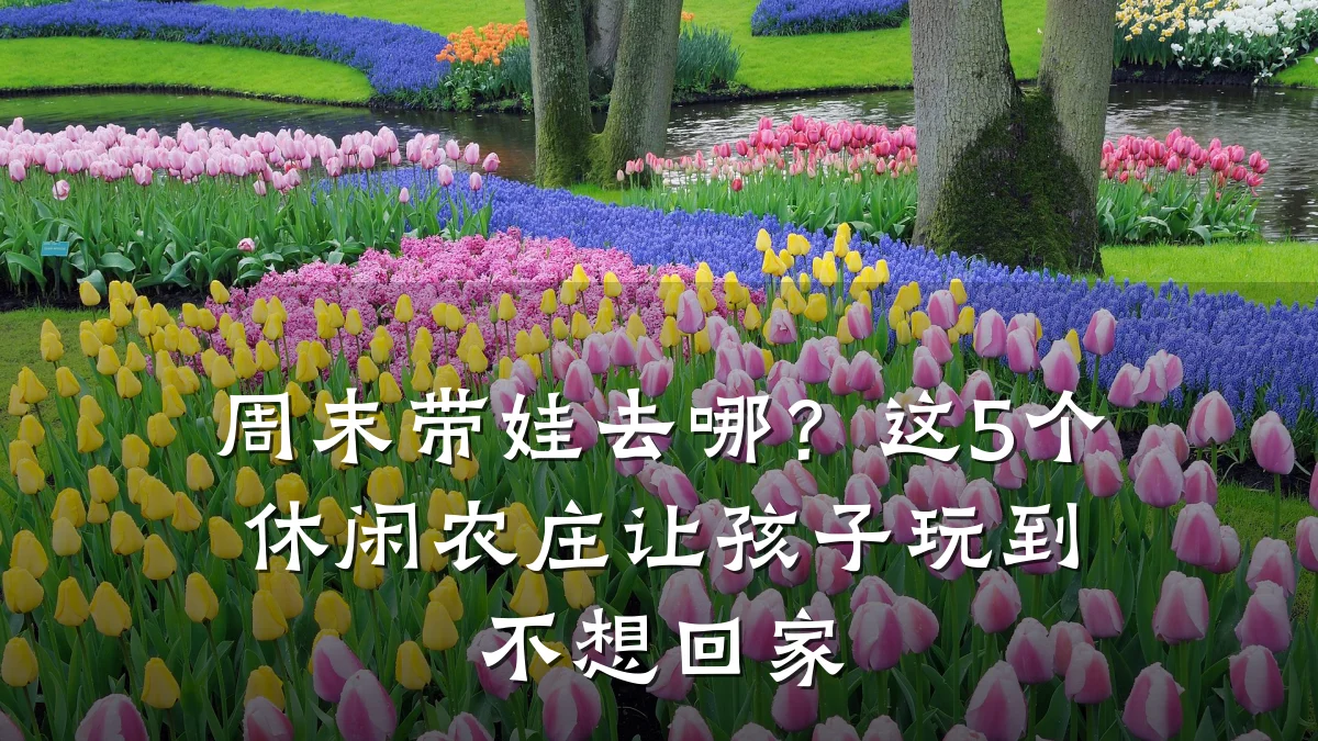 周末带娃去哪？这5个休闲农庄让孩子玩到不想回家