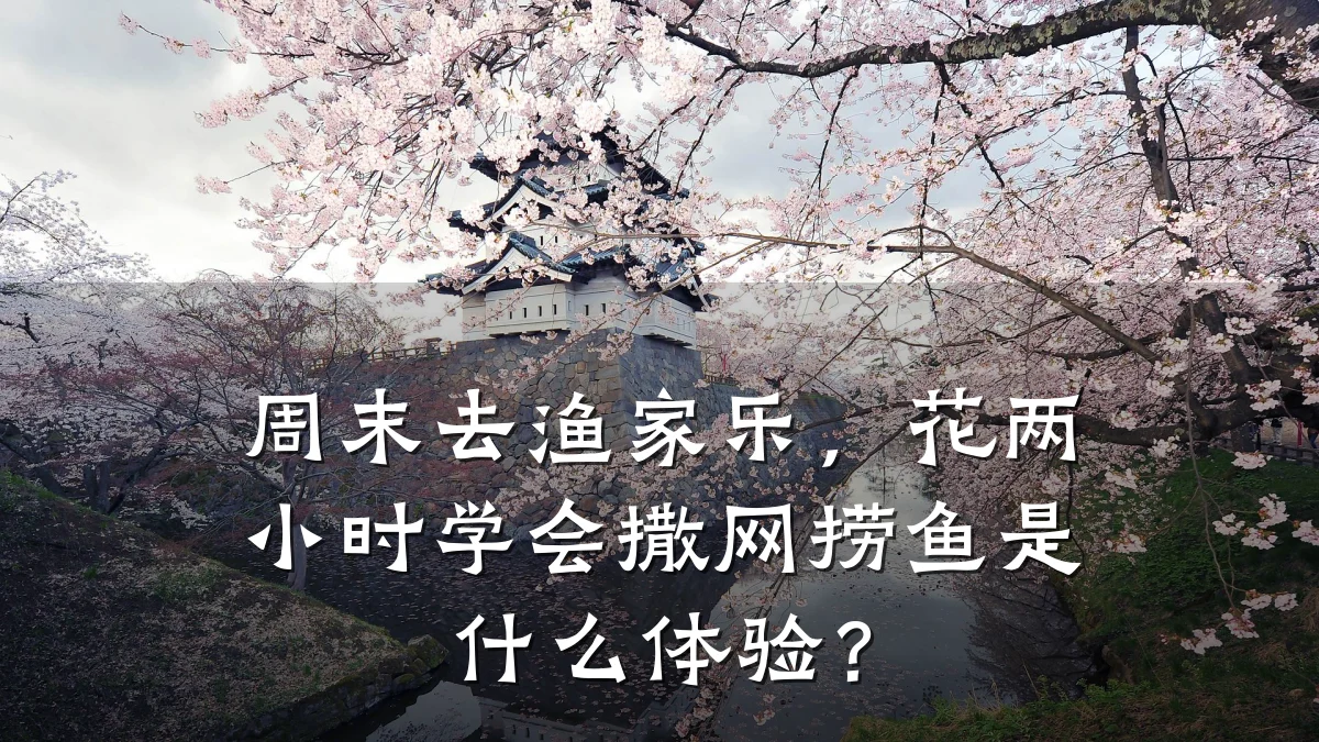 周末去渔家乐,花两小时学会撒网捞鱼是什么体验?