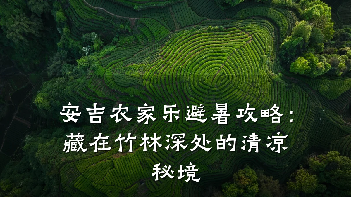 安吉农家乐避暑攻略:藏在竹林深处的清凉秘境