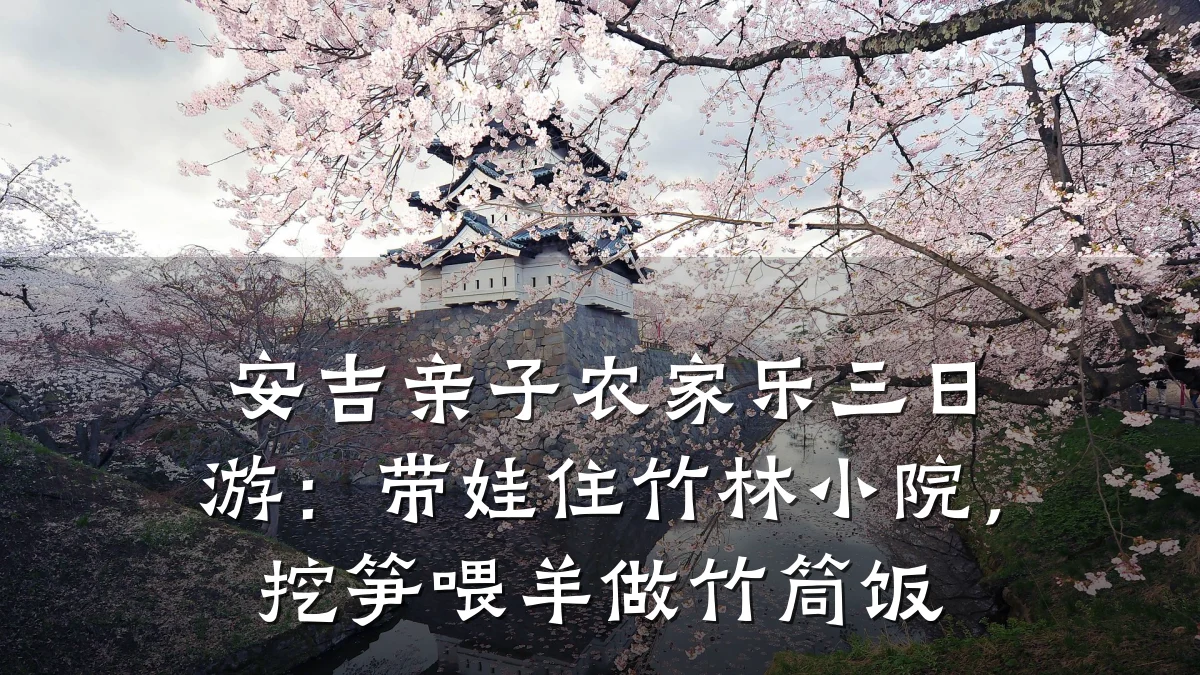 安吉亲子农家乐三日游:带娃住竹林小院,挖笋喂羊做竹筒饭