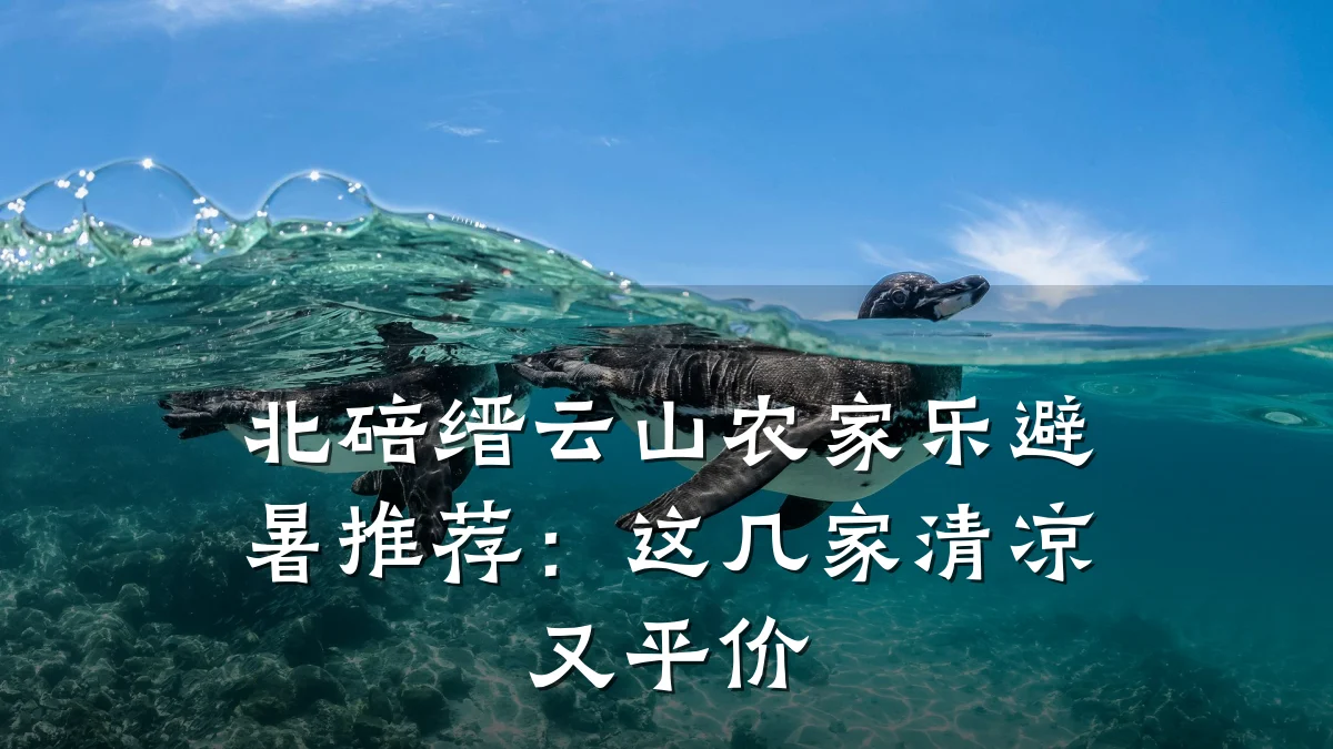 北碚缙云山农家乐避暑推荐:这几家清凉又平价