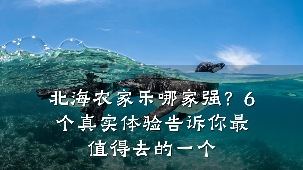 北海农家乐哪家强?6个真实体验告诉你最值得去的一个