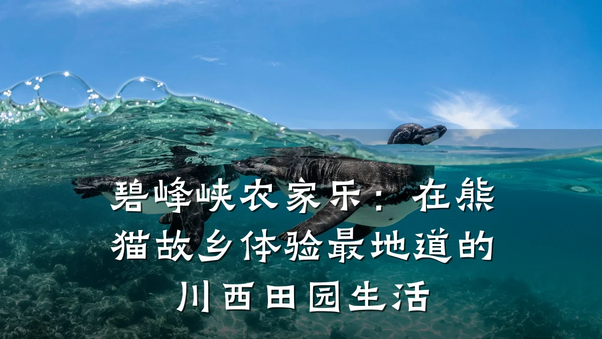 碧峰峡农家乐：在熊猫故乡体验最地道的川西田园生活