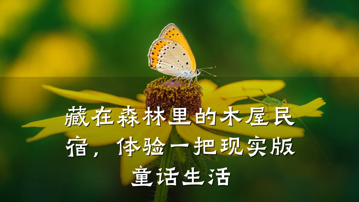 藏在森林里的木屋民宿,体验一把现实版童话生活