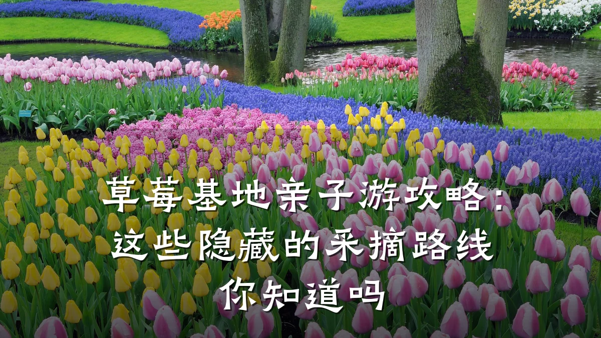 草莓基地亲子游攻略:这些隐藏的采摘路线你知道吗