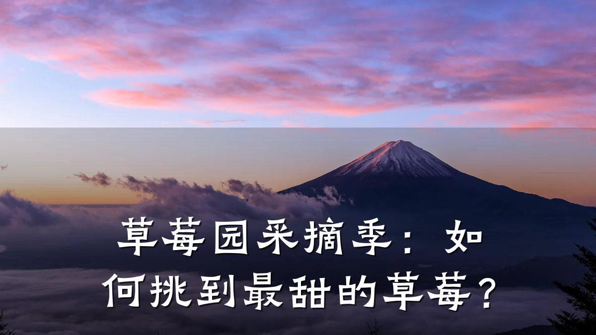 草莓园采摘季:如何挑到最甜的草莓?
