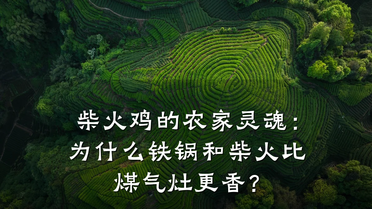 柴火鸡的农家灵魂:为什么铁锅和柴火比煤气灶更香?