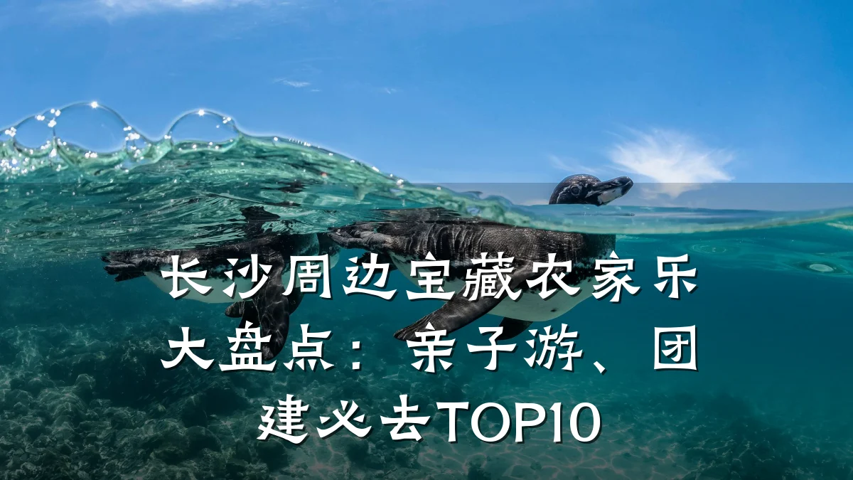 长沙周边宝藏农家乐大盘点:亲子游、团建必去TOP10