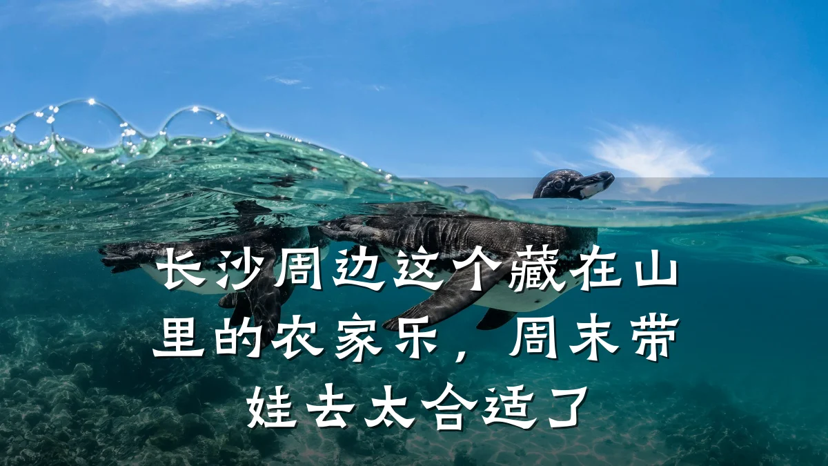 长沙周边这个藏在山里的农家乐,周末带娃去太合适了