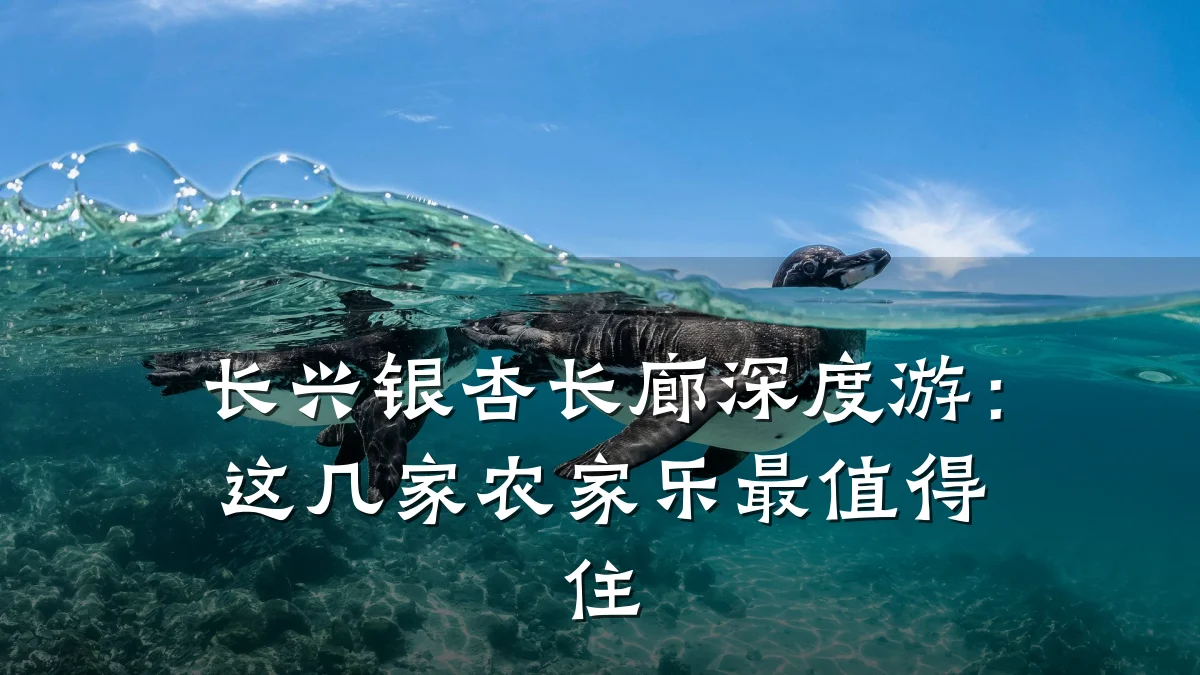 长兴银杏长廊深度游:这几家农家乐最值得住