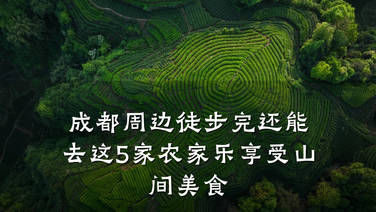 成都周边徒步完还能去这5家农家乐享受山间美食