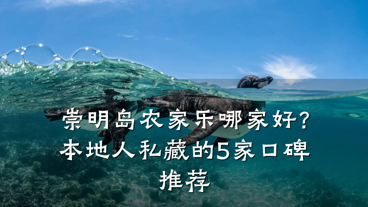 崇明岛农家乐哪家好?本地人私藏的5家口碑推荐