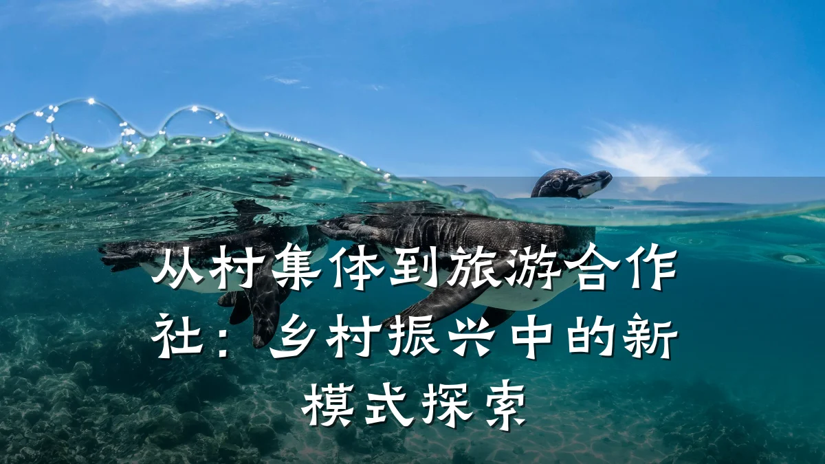 从村集体到旅游合作社:乡村振兴中的新模式探索