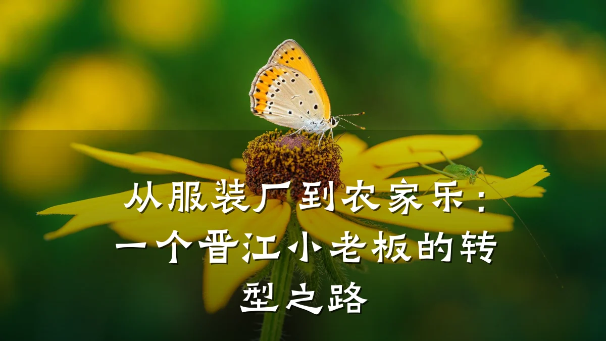 从服装厂到农家乐:一个晋江小老板的转型之路