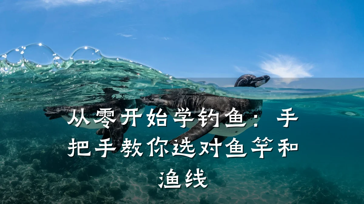 从零开始学钓鱼:手把手教你选对鱼竿和渔线