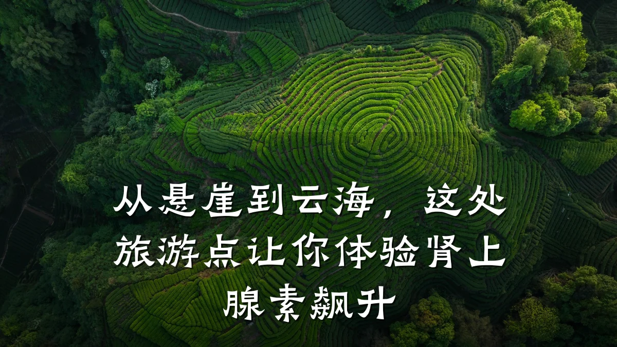 从悬崖到云海,这处旅游点让你体验肾上腺素飙升