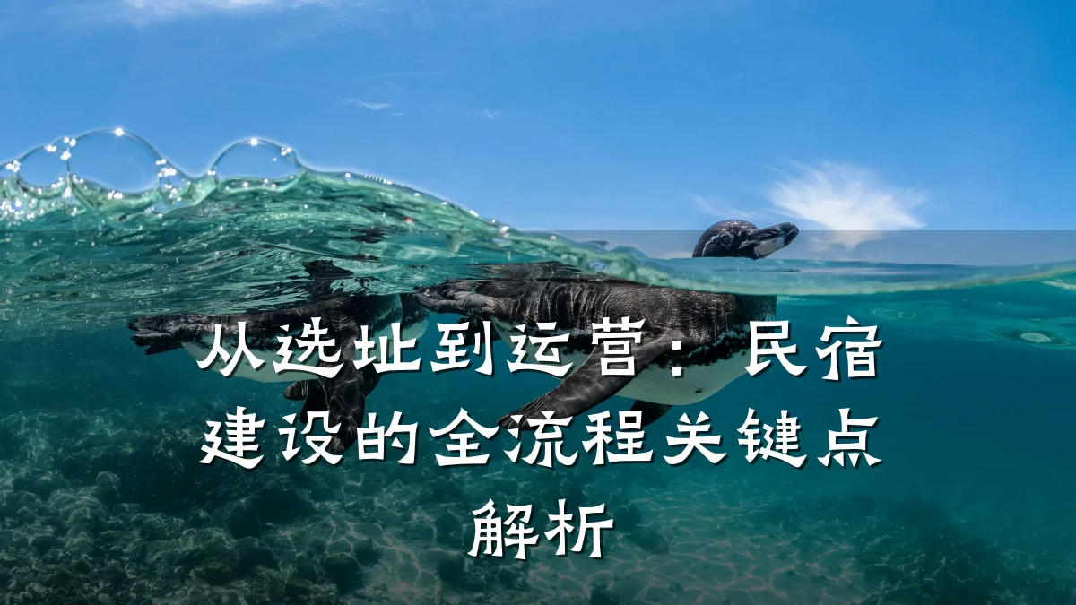 从选址到运营:民宿建设的全流程关键点解析