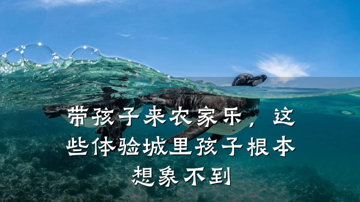 带孩子来农家乐,这些体验城里孩子根本想象不到
