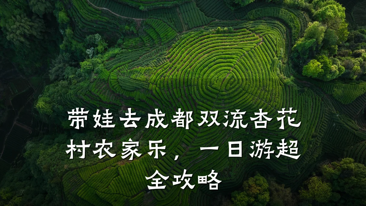带娃去成都双流杏花村农家乐,一日游超全攻略