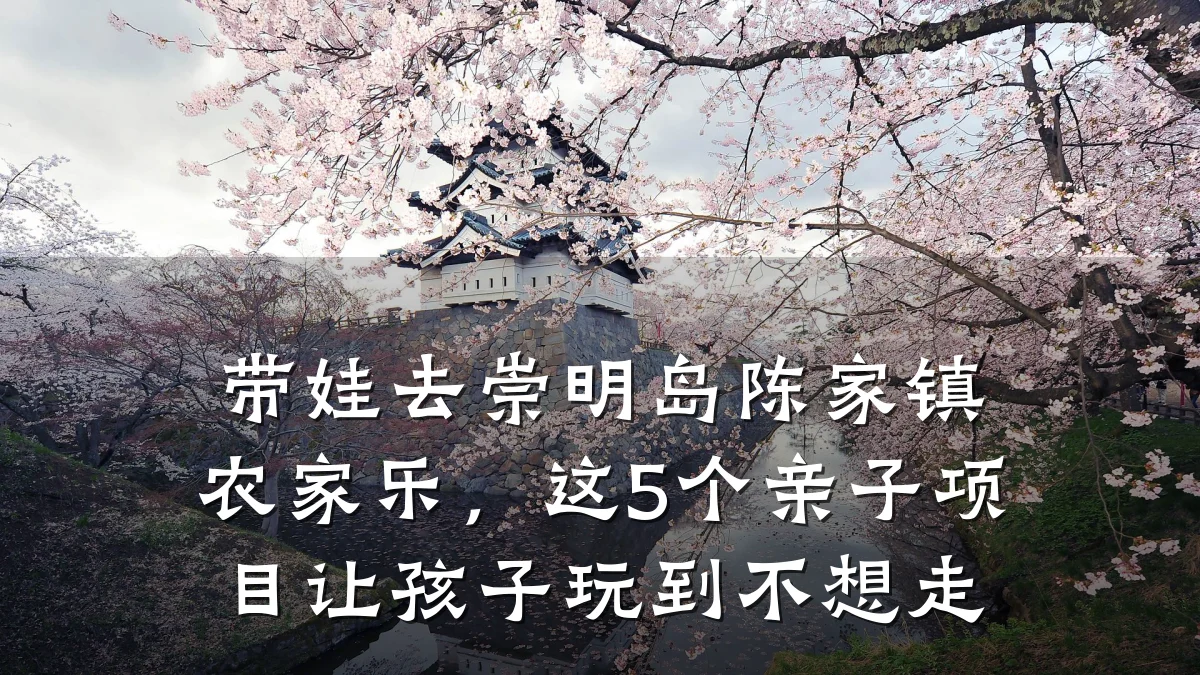带娃去崇明岛陈家镇农家乐,这5个亲子项目让孩子玩到不想走