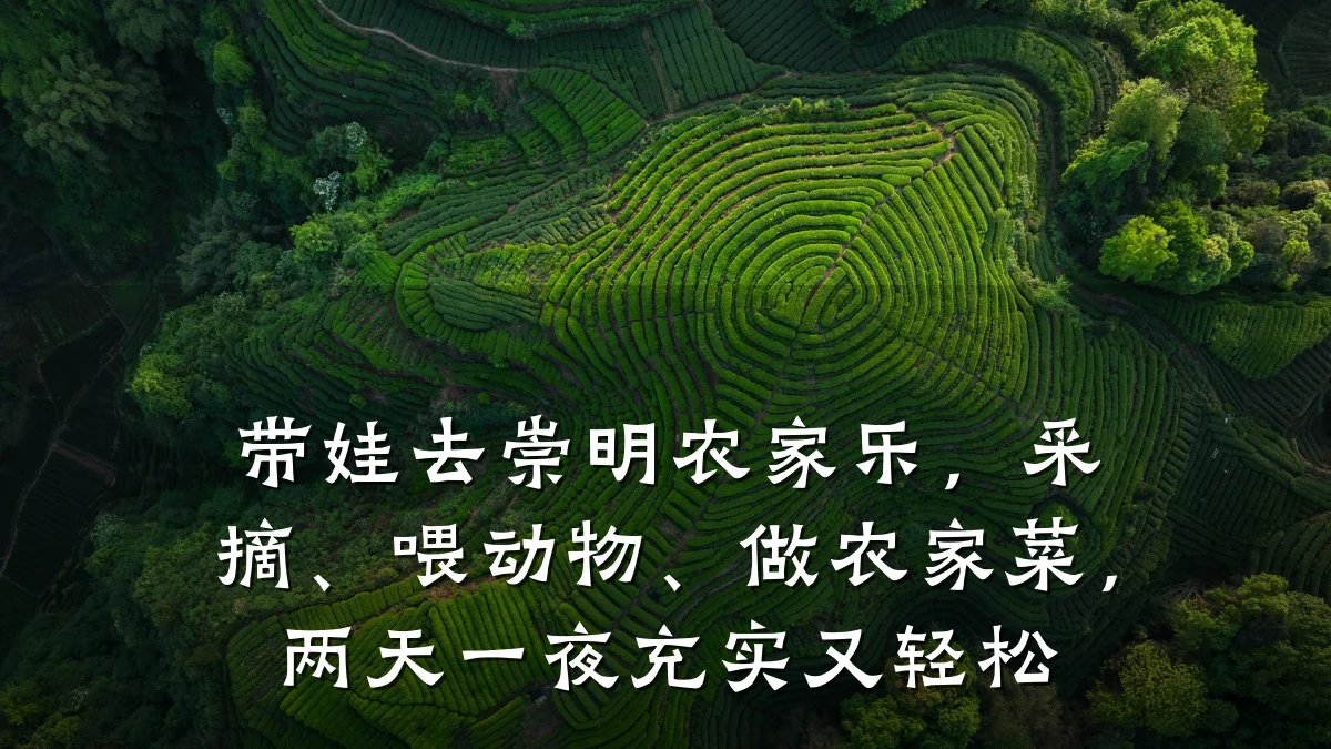 带娃去崇明农家乐,采摘、喂动物、做农家菜,两天一夜充实又轻松