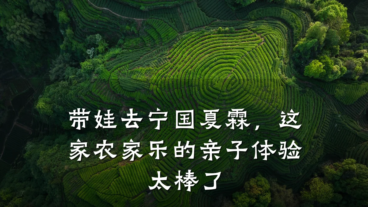 带娃去宁国夏霖,这家农家乐的亲子体验太棒了