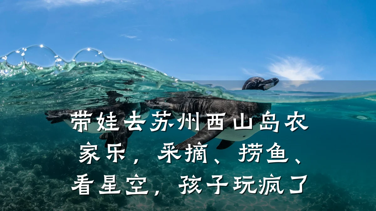 带娃去苏州西山岛农家乐,采摘、捞鱼、看星空,孩子玩疯了