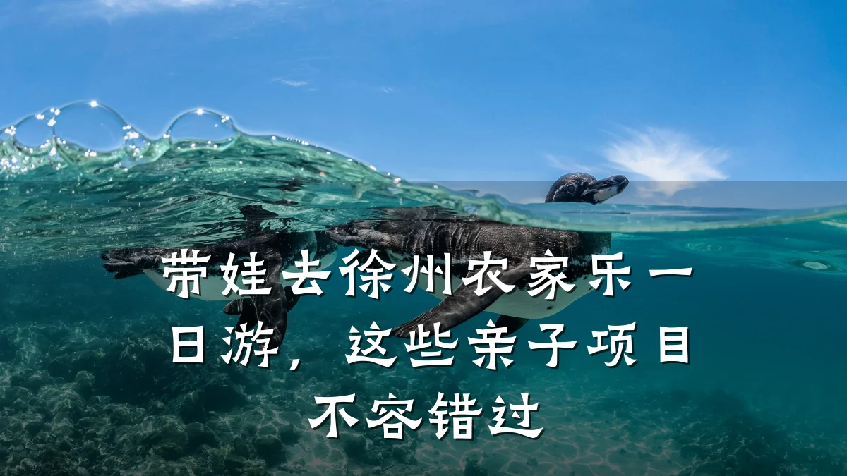 带娃去徐州农家乐一日游,这些亲子项目不容错过