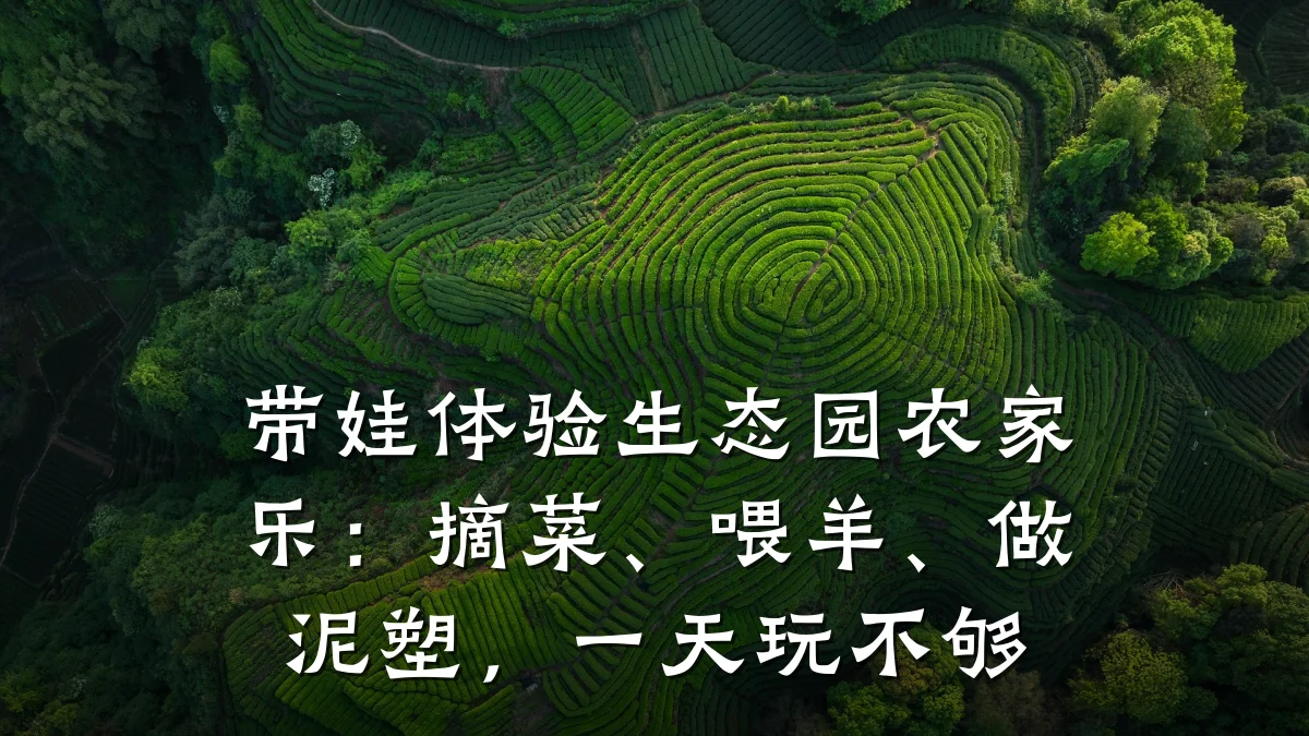 带娃体验生态园农家乐:摘菜、喂羊、做泥塑,一天玩不够