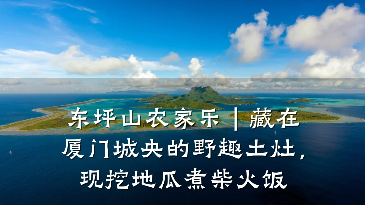 东坪山农家乐|藏在厦门城央的野趣土灶,现挖地瓜煮柴火饭