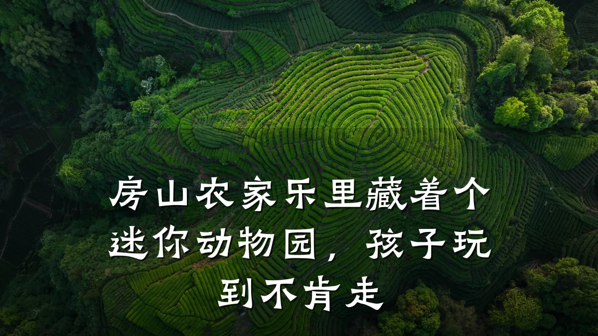 房山农家乐里藏着个迷你动物园,孩子玩到不肯走