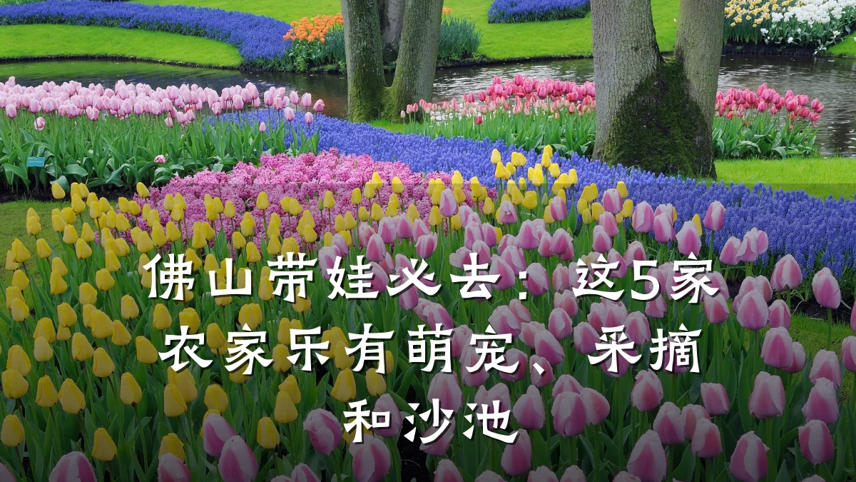 佛山带娃必去:这5家农家乐有萌宠、采摘和沙池