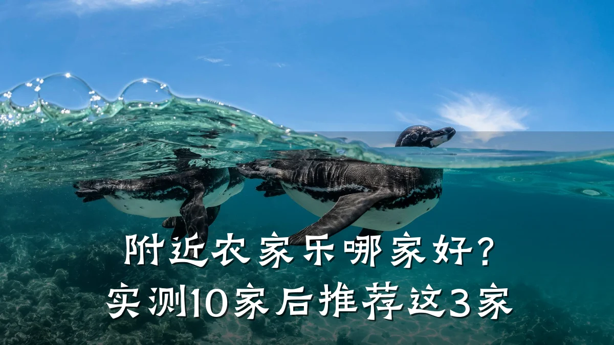 附近农家乐哪家好?实测10家后推荐这3家