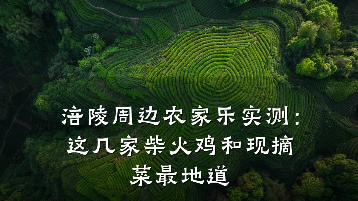 涪陵周边农家乐实测:这几家柴火鸡和现摘菜最地道