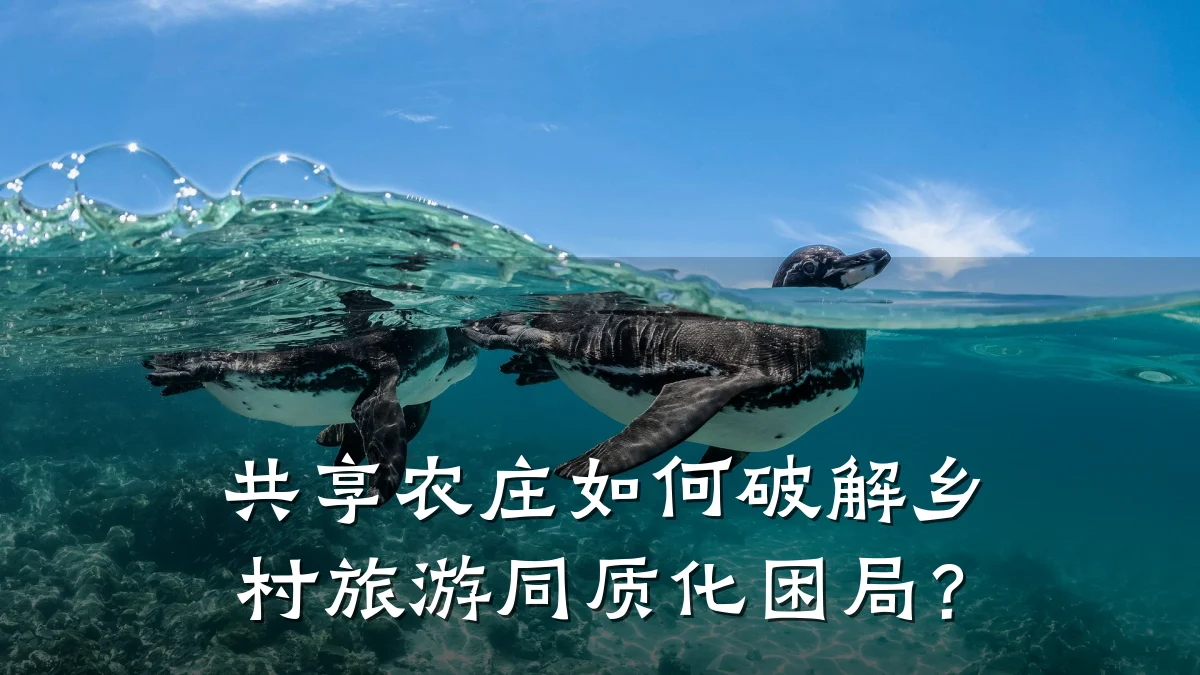 共享农庄如何破解乡村旅游同质化困局?